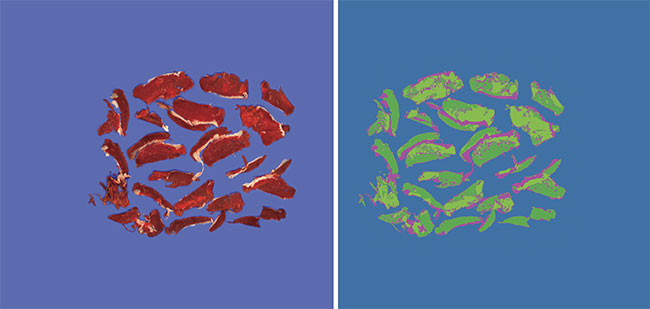 Unlike the image of meat captured in the visible spectral range (left), the hyperspectral image reveals regions of interest — such as areas of fat or protein, highlighted in false color — to food quality inspectors (right). Courtesy of VISRATEK.