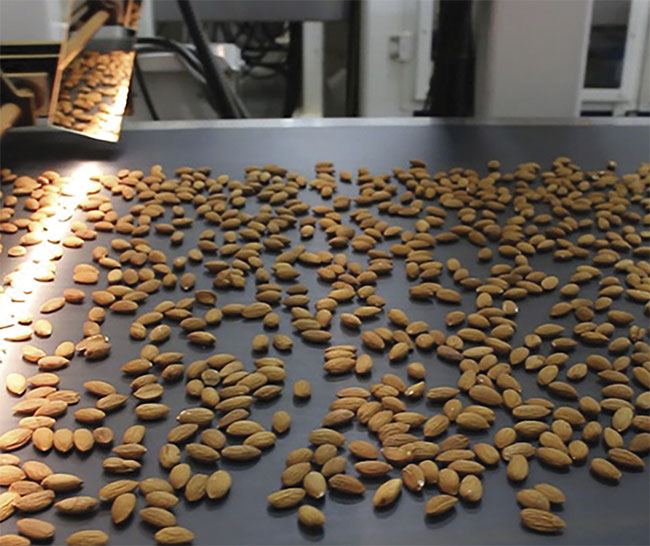 Hyperspectral imaging enables vendors and producers of almonds and other foods to rapidly grade product quality in-line without resorting to time-consuming off-line lab analysis. Courtesy of Headwall Photonics.