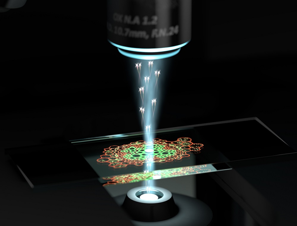Quantum Microscope Achieves Unprecedented Clarity in Cellular Imaging