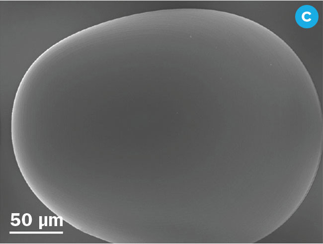 Figure 3. A nanoimprinted moiré lens (a). A microlens array (b). A freeform lens (c). Courtesy of EV Group and Nanoscribe.