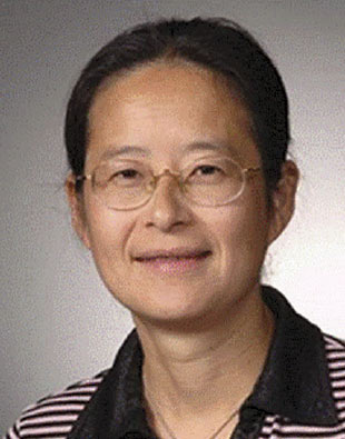 Lili Wang, Ph.D