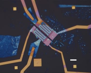 An optical micrograph of two typical on-chip spectrometers. Scale bar: 8 µm. Courtesy of Yale University.