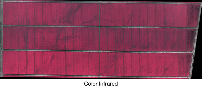 Drones and manned planes equipped with red- and NIR-optimized, high-vibration-resistant lenses are increasingly used for normalized difference vegetation index (NDVI) analysis of farmland. Courtesy of MORITEX North America.