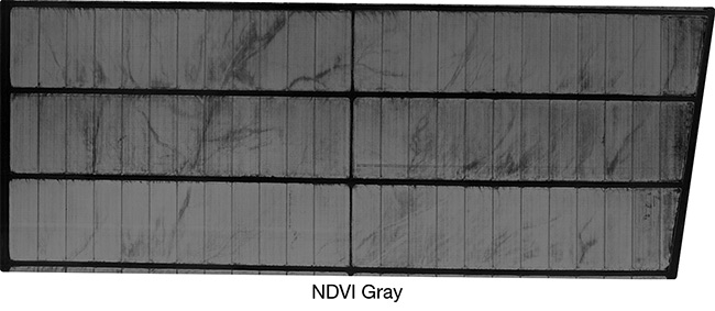 Drones and manned planes equipped with red- and NIR-optimized, high-vibration-resistant lenses are increasingly used for normalized difference vegetation index (NDVI) analysis of farmland. Courtesy of MORITEX North America.