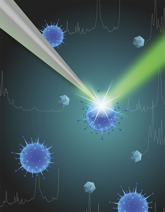 Plasmonic Tip Detects Viruses’ Raman Signal