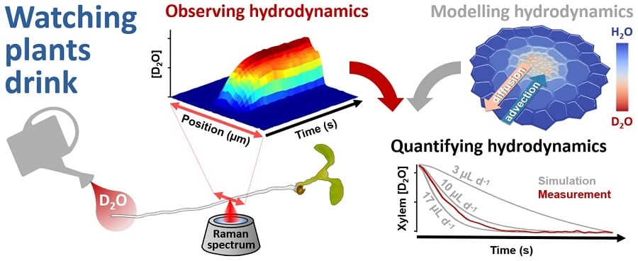 Graphic representation of the hydrodynamic process using Raman imaging. Courtesy of the University of Nottingham.