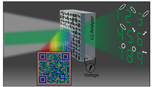vectorial holographic color prints. With the naked eye, the device displays a two-colored QR code image but with laser illumination, the encrypted vectorial hologram image is projected in space. This holographic image with a unique polarization state can be selectively turned on or off via a liquid crystal analyzer, which can make only certain encrypted numbers visible. Courtesy of Postech.