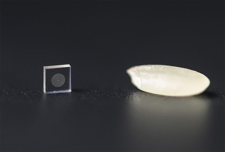 Figure 1. A diced metaoptic, fabricated using semiconductor processing, next to a grain of rice. Metaoptics have the potential to revolutionize imaging systems by making miniaturized cameras possible while maintaining a high level of performance. Courtesy of Luocheng Huang.