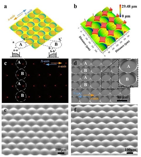 (a) Schematic diagram of an off-axis microlens array. (b) Three-dimensional topography of a fabricated off-axis microlens array. (c) Experimentally captured focused spot arrays with the operating wavelength of 635 nm. (d) Off-axis microlens array characterized via the SEM. (e-f) SEM photos in partial views of the microlens arrays with filling factors of 90.7% and 100%. Courtesy of Shiyi Luan, Fei Peng,Guoxing Zheng, Chengqun Gui, Yi Song, and Sheng Liu.
