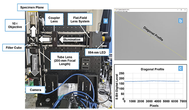 Figure 5. An autofluorescent blank slide viewed under 10× magnification using a benchtop fluorescence microscope at 554-nm LED excitation. The optical benchtop setup using the flat-field lens system from Figure 4 (a). The image of the slide captured by the camera, which has 5472 × 3648 pixels and 2.4-µm pixel size (b). The irradiance distribution across the diagonal length of the image, displaying a flat-top distribution. The slight bump near the center is due to stray light in the setup (c). Courtesy of Advanced Products Corporation Pte. Ltd.