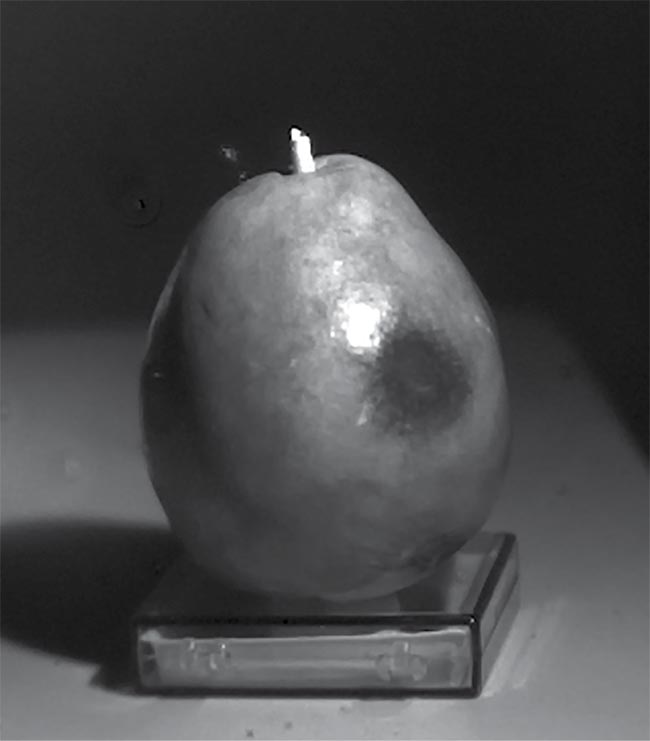 Quantum dots (top) act as a SWIR photodetector if they are sized correctly. When placed on a readout circuit, they form a SWIR imaging sensor.  Water’s spectral absorption peaks at 1500 and 1900 nm make it comparatively easy to reveal cellular damage where moisture concentrates in bruised fruit. The bruise on the pear is virtually indiscernible in the visible image (middle), whereas it is evident in the image captured with a SWIR camera (bottom). Courtesy of SWIR Vision Systems.