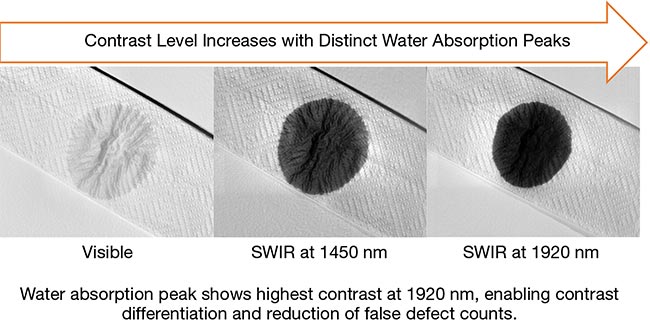 Due to water’s high spectral absorption at SWIR wavelengths near 1500 and 1900 nm, it is easier to capture moisture in a high-contrast image. This is beneficial in applications such as food inspection and assessing crop health. Courtesy of Emberion.