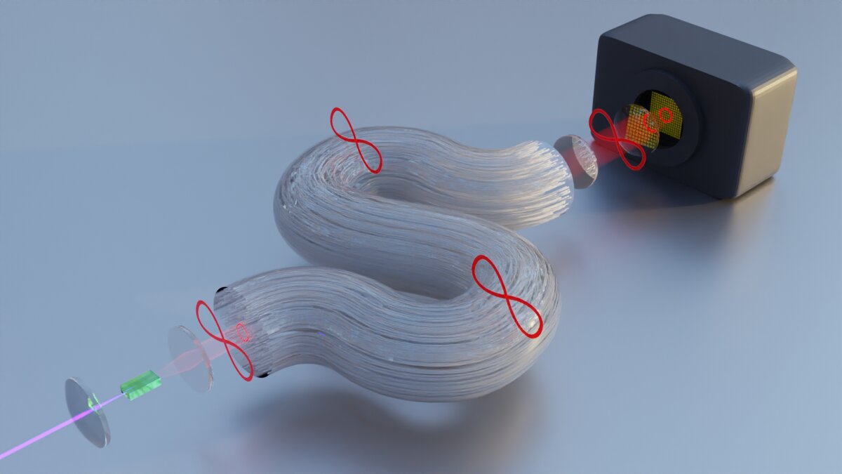 Quantum Light Transmitted Through Phase-Separated Anderson Localization Fiber