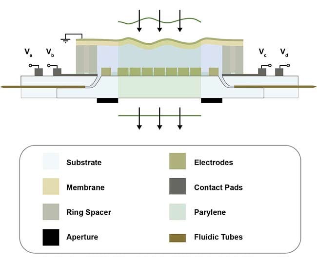 Figure 5. A schematic cross-section view of a deformable phase plate shows how it works as an adaptive lens. Courtesy of Phaseform GmbH.