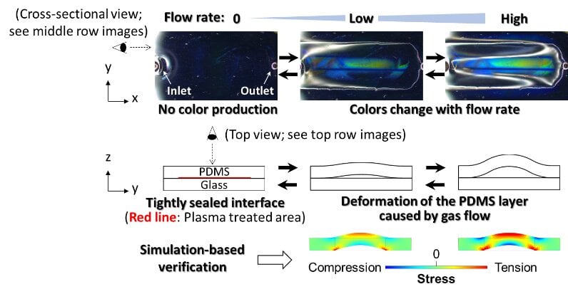 Mechanism behind the multi-color imaging of a gas injected into the device. Top (top row) and cross-sectional (middle and bottom rows) views of the device and a gas flowing through it. Courtesy of Kota Shiba/National Institute for Materials Science.