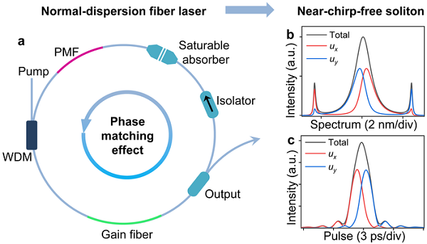 A schematic diagram of normal-dispersion fiber lasers. Simulated spectra (b) and temporal profiles (c) of a birefringence-managed soliton and its two orthogonal-polarized components. Courtesy of D. Mao, Z. He, Y. Zhang, Y. Du, C. Zeng, L. Yun, Z. Luo, T. Li, Z. Sun, and J. Zhao.