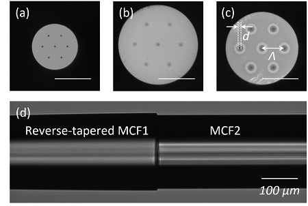 Fig.1 Cross sections and a fusion splice between two dissimilar MCFs: (a-c) Cross-sections of (a) MCF1, (b) reverse-tapered MCF1, and (c) MCF2; and (d) splicing joint of the reverse-tapered MCF1 and MCF2 at the same scale. Courtesy of Limin Xiao/Optics Express. 
