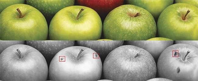 Multispectral imaging is increasingly used to detect problems that are invisible to the eye. Courtesy of JAI.