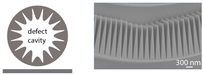 Figure at left illustrates the defect area of photonic crystal bumps introduced into the lower middle area of the microring structure. Image at right shows what the defect looks like in practice. Courtesy of NIST/Lu.