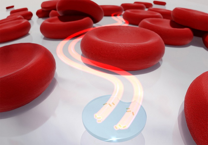 Artistic representation of a microdrone with two active light-driven nanomotors between red blood cells. Courtesy of Thorsten Feichtner / Universität Würzburg. 