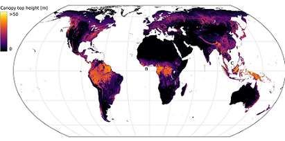 Researchers at ETH Zurich have developed a world map that uses machine learning to derive vegetation heights from satellite images in high resolution. Courtesy of EcoVision Lab.