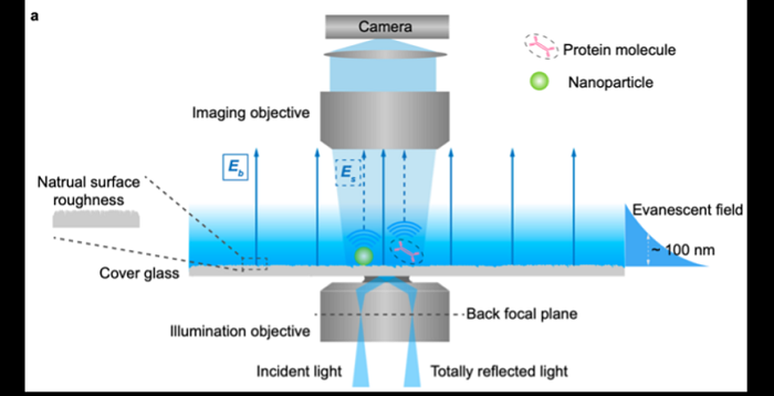 the experimental setup for performing evanescent scattering microscopy, a label-free method for sensitive imaging of biomolecules, including proteins. A beam of laser light is directed at a molecular sample with the proper angle to produce a condition known as total internal reflection. The resulting evanescent wave can excite the molecules at the glass-liquid interface, allowing for exceptionally precise imaging. Courtesy of The Biodesign Institute at Arizona State University.