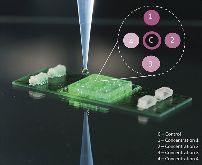 Raman Spectroscopic Method Diagnoses Infection at the Point of Care