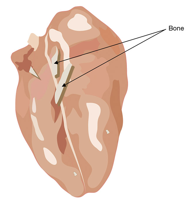 Small bones in meat or fish can be detected using x-ray imaging. Courtesy of Hamamatsu Photonics.