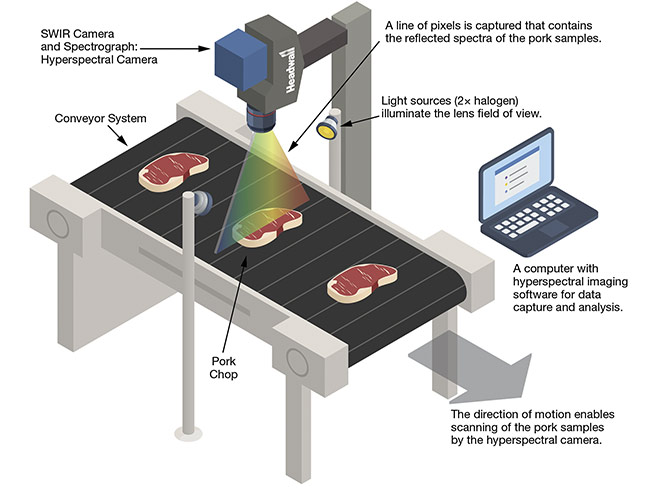 The small footprint of hyperspectral imaging sensors enables their placement at a location on an existing processing line without disrupting operations (top). An imaging system was built to rapidly scan pork chops and noninvasively predict intramuscular fat content (bottom). Courtesy of Headwall Photonics/Michael Ngadi, McGill University/MatrixSpec Solutions.