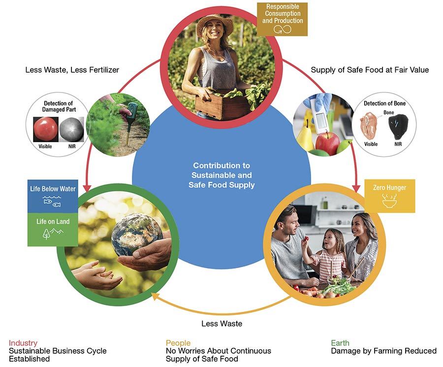 Assessing Food Inspection Techniques