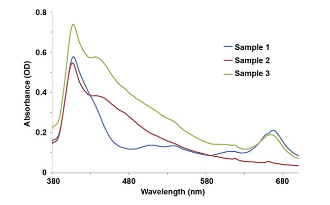 Figure 1. Chlorophyll a concentrations (mg/L) in lake water samples. The water samples were collected at three spots, and differences in the concentrations of chlorophyll a were measured using a modular spectrometer configured for absorbance. OD: optical density. Courtesy of Yvette Mattley.