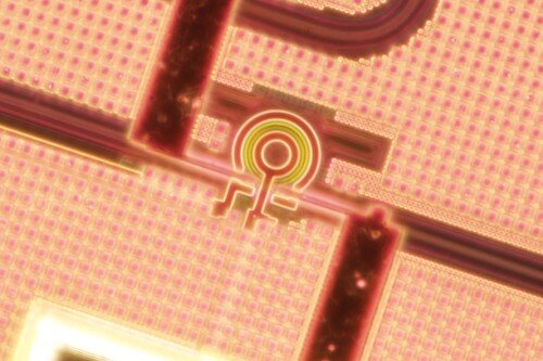 Photonic chip with a microring resonator nanofabricated in a commercial foundry. Courtesy of Joel Tasker, University of Bristol.