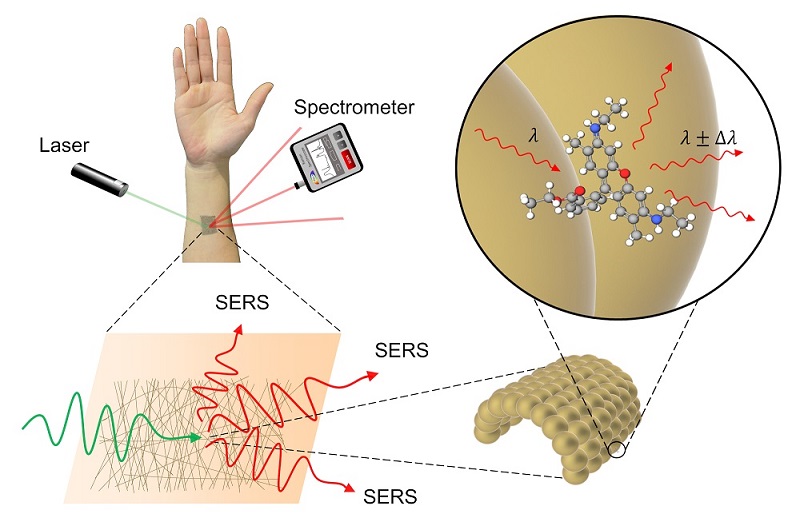 SERS, or surface enhanced Raman spectroscopy, is a method of detecting the presence of a chemical indirectly by using laser light and a specialized sensor. The gold mesh provides an ideal surface for taking measurements as it does not interfere with the substance being measured. Courtesy of the University of Tokyo.