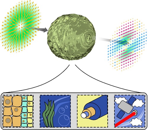 An artistic impression of complex vectorial light passing through some distorting complex media and becoming altered in some way. The pattern of the light depicts the polarization state. The complex media shown in the insets includes living tissue, under-water, optical fiber and transmission through the atmosphere. Courtesy of Wits University.