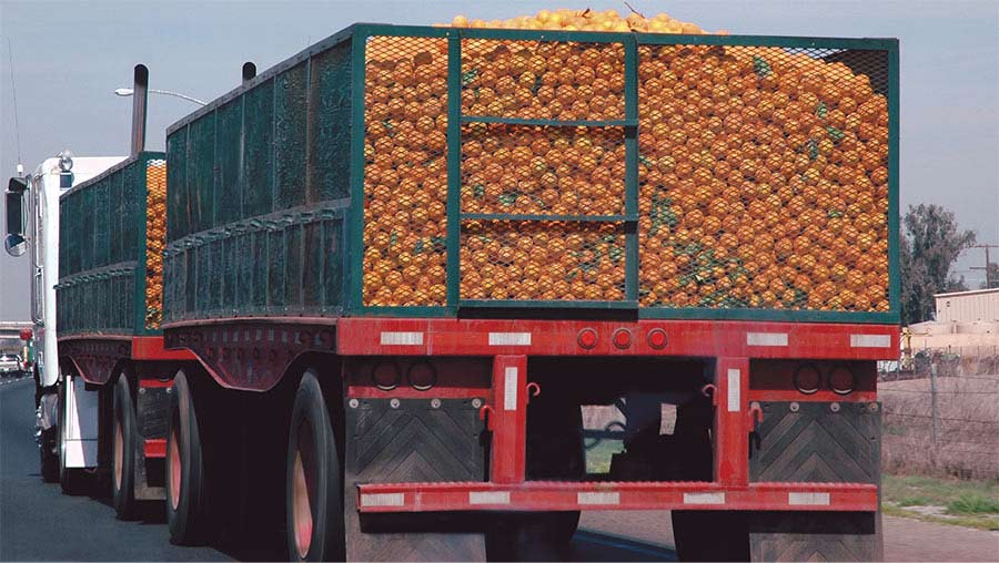 Truckloads of oranges destined for packing or juicing arrive at processing facilities. Determining whether the oranges should be packed whole or juiced takes time. Juice from a batch is measured for dissolved solids, an analogue for sweetness, and the truckload is dispatched accordingly. Courtesy of Headwall Photonics.