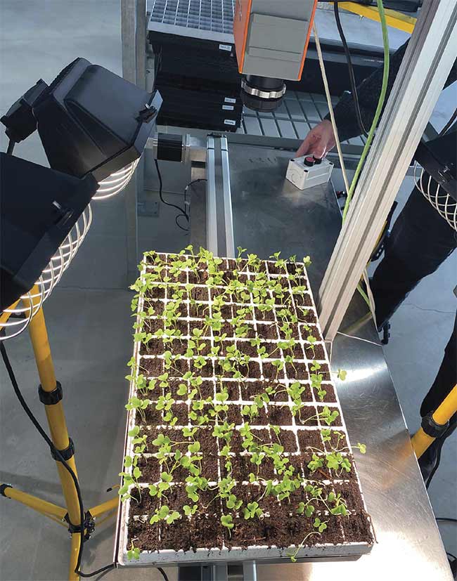 Crops are scanned using a Specim FX10 VNIR hyperspectral camera. Courtesy of Agricola Moderna.