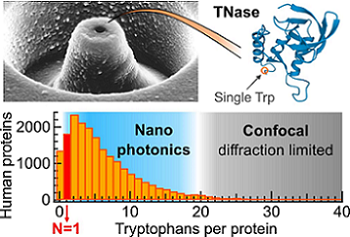 Nanophotonics Signal Enhancement Enables Label-Free Proteins Study