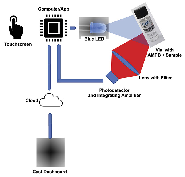 Figure 1. An illustration of how a fluorophore detection device works. AMPB: aptamer molecular photonic beacon. Courtesy of Two-Photon Research.