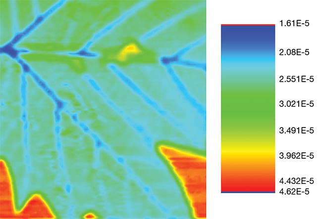 Mapping the water content in plants by terahertz imaging. Courtesy of