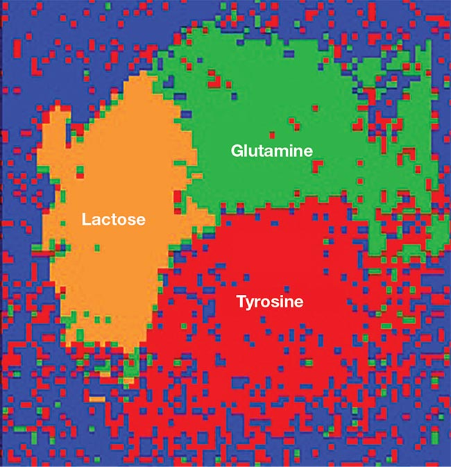 The cluster map of biomolecules has been generated from terahertz imaging of a sample comprising three substances, after data processing using Menlo Systems’ ImageLabHyperpectral Imaging software. Mapping regions of different biomolecular substances is particularly useful for assessing pharmaceutical products. Courtesy of Menlo Systems.
