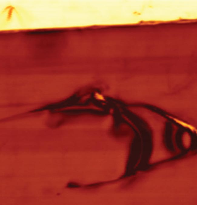 An image of a battery cathode captured with an optical-range imaging sensor (top) and a terahertz sensor (bottom). Though the optical imager reveals some defects, terahertz imaging provides highly valuable finer details of the electrode’s flawed calendering. Courtesy of TeraView Ltd.