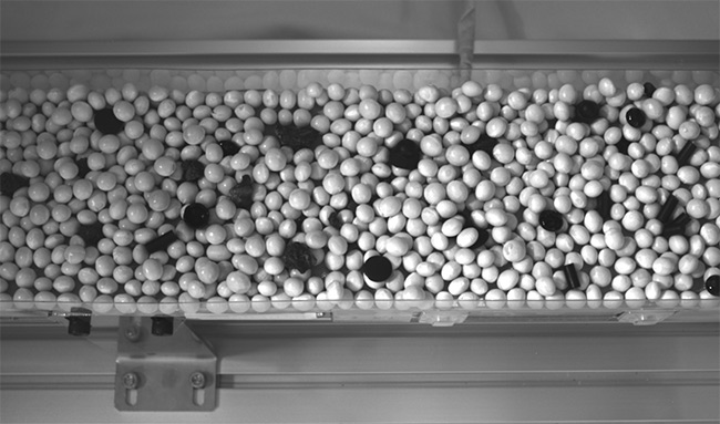 Contaminant detection has been made easier thanks to image sensor innovations. The properties of shortwave infrared (SWIR) imaging make it possible to distinguish between food products, such as black beans, and black-colored contaminants. A visible light environment (top) and a SWIR environment (bottom). Courtesy of Sony Semiconductor Solutions.