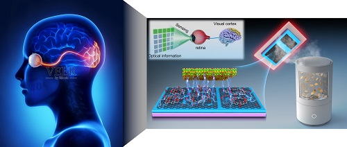 A conceptual graph of the all-in-one sensing-memory-computing photo-memristor. In a research advance, reportedly for the first time, a team has developed non-volatile photomemristors that implement computationally complete logic with photoresponse-stateful operations, for which the same photo-memristor serves as both a logic gate and memory, using photoresponse as a physical state variable instead of light, voltage, and memresistance. Courtesy of Xiao Fu, et al.  