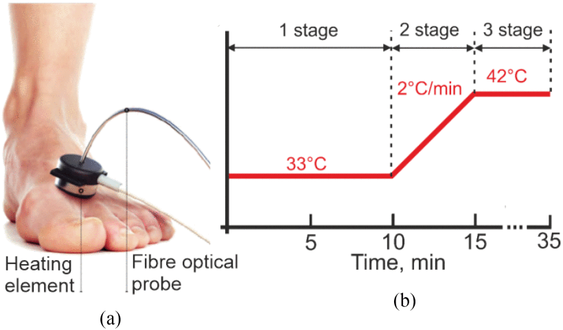 (a) Location of the fiber optical probe on the volunteer’s foot. (b) Study protocol with a heat test. Courtesy of Aston University, IEEE.