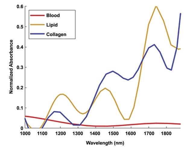 Figure 2. Near-infrared spectra of cholesterol, collagen, and blood. Adapted with permission from References 3 and 4.