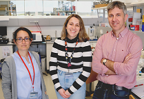 From left: Principal investigator María Giménez: researcher Noa Varela; and professor Francisco Rivadulla. The researchers introduced a materials-based method to control thermal dissipation in devices, including microelectronics devices. The advance could prevent such devices from overheating. Courtesy of CiQUS.