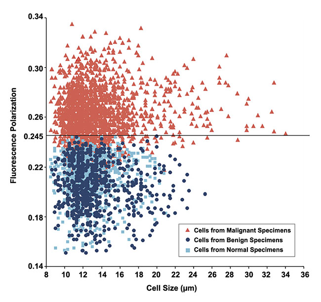 Figure 6. Methylene blue fluorescence polarization value versus cell size for all cells from 32 clinical thyroid specimens. Adapted with permission from Reference 5/CC BY 4.0.