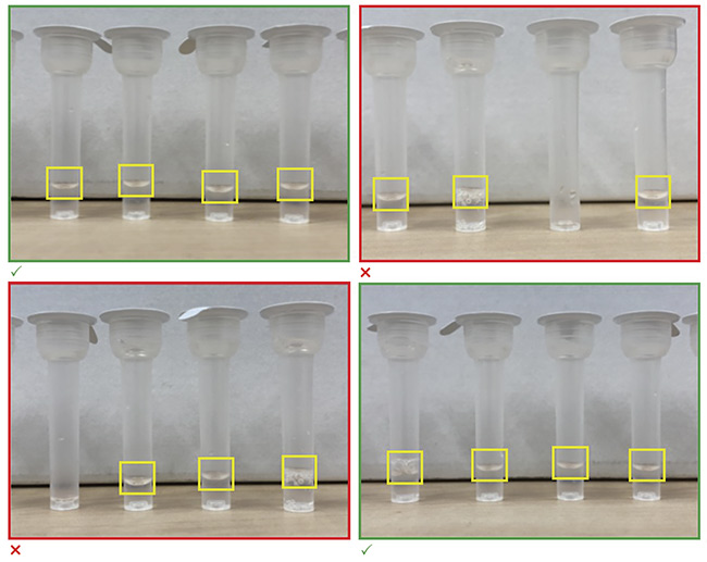 The liquid-containing tubes used for COVID-19 antigen home tests. The common product component warrants visual inspection before it can be made available for retail. A vision system that performs in-line inspection determines the presence of defects. Paired with an AI component, a system provides insight into the nature of the defect. Courtesy of PEKAT VISION.