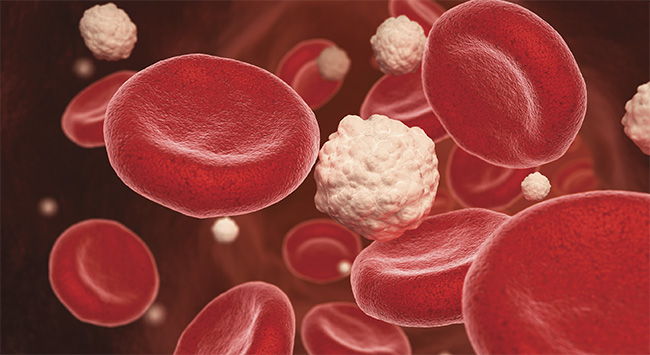 An illustration of blood cells and glucose in a vein. Courtesy of iStock.com/ILexx.