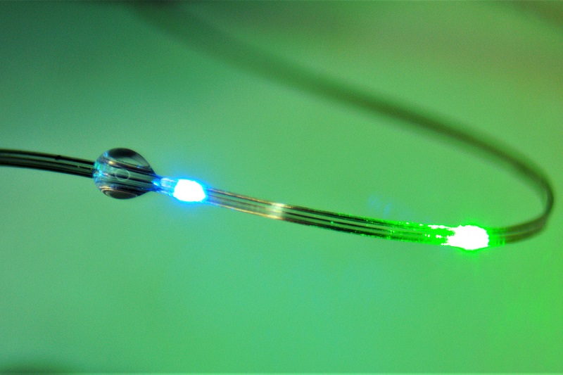These flexible fibers, which are embedded with sensors and light sources, can be used to manipulate and monitor the connections between the brain and the digestive tract. Courtesy of A. Sahasrabudhe, et al., doi: 10.1038/s41587-023-01833-5.